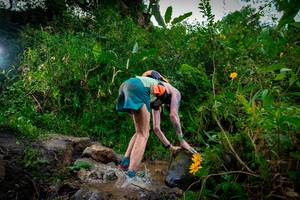 BIB: 
                            <button type="button" onclick="openModal(15974486)" class="btn btn-primary btn-sm float-right btn-popup" data-toggle="modal" data-target=".modal-high-quality">
                        <i class="fas fa-shopping-cart"></i> Add to Cart
                    </button>
                                            <button type="button" onclick="isThisMe(15974486, true)" class="btn btn-success btn-sm float-right btn-popup btn-isme hidden" data-toggle="tooltip" data-placement="bottom" title="นี่คือรูปของคุณใช่ไหม คลิกที่นี่เพื่อเอาเข้าอัลบั้ม">
                        <i class="fas fa-plus"></i> Add to album
                    </button>
                    <button type="button" onclick="isThisMe(15974486, false)" class="btn btn-warning btn-sm float-right btn-popup btn-isnotme hidden">
                        <i class="fas fa-ban"></i> Remove from album
                    </button>